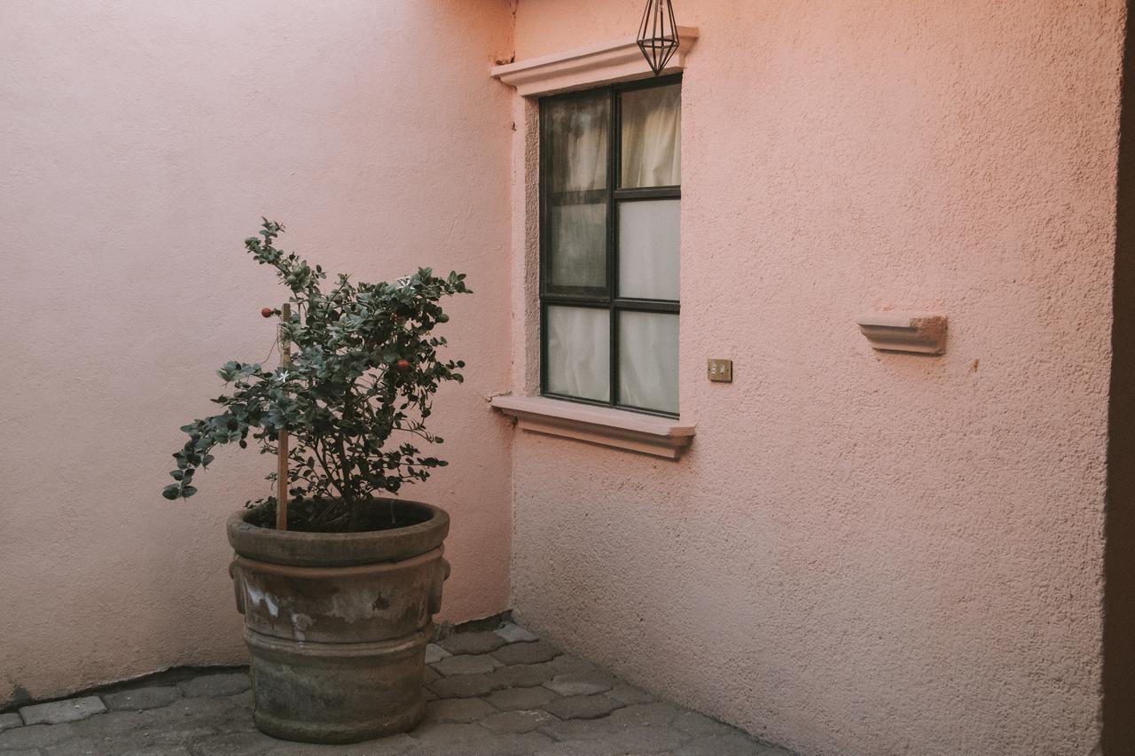 סאן מיגל דה אלנדה Casa Los Naranjos מראה חיצוני תמונה