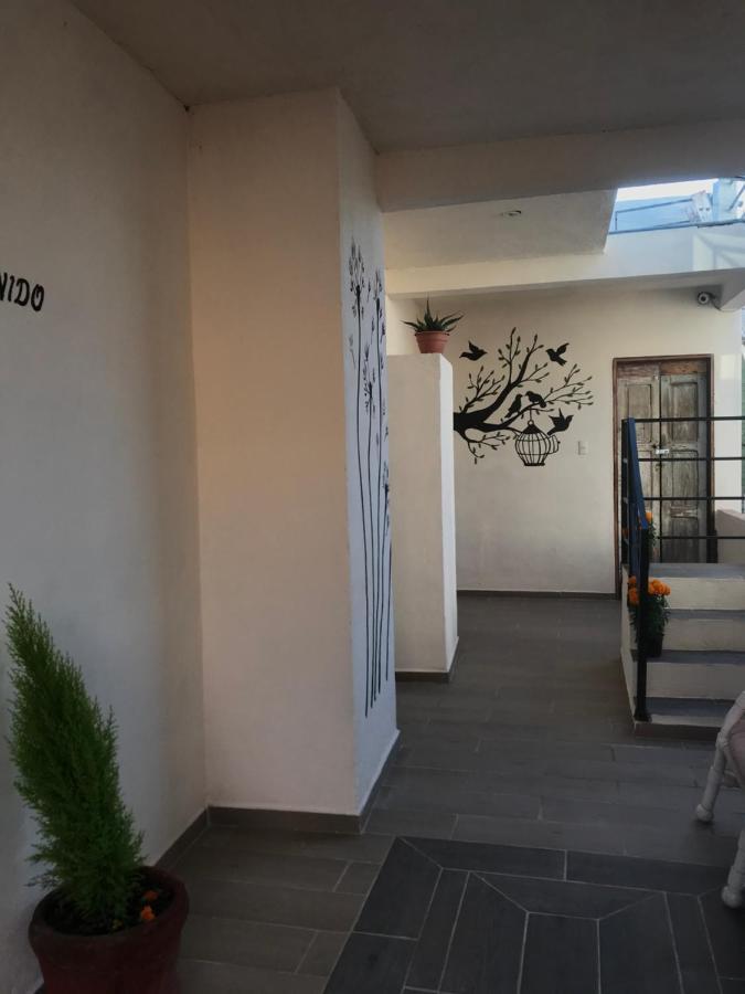 סאן מיגל דה אלנדה Casa Los Naranjos מראה חיצוני תמונה