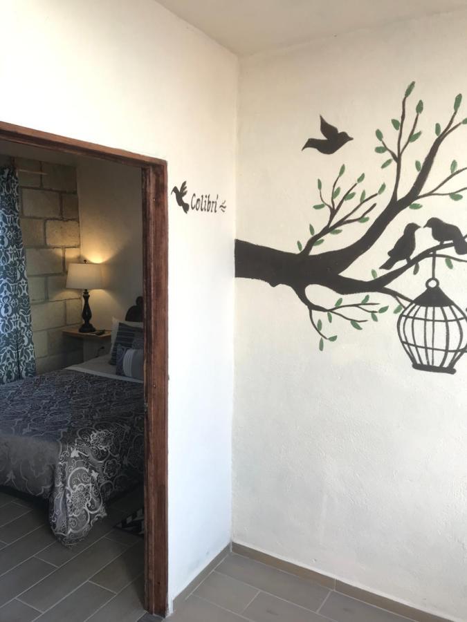 סאן מיגל דה אלנדה Casa Los Naranjos מראה חיצוני תמונה